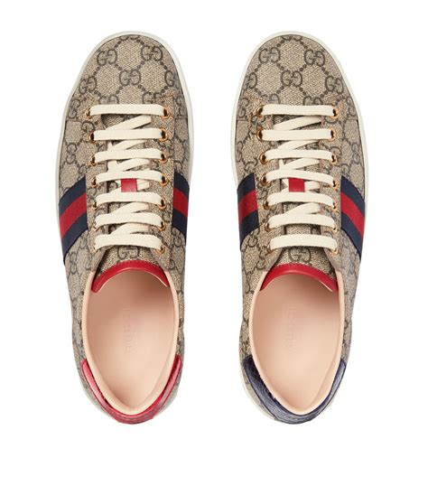 Women's Ace Sneaker GG Supreme Canvas With 